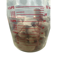 Freeze Dried Mushrooms