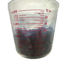 Bulk Freeze-Dried Whole Blueberries | 5kg Wet Weight | upto 25 Years