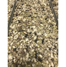 Freeze-Dried 22 Bean Mix | Up to 25 Year Shelf Life | Pure Choice Foods