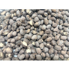 Bulk Freeze-Dried Black Beans | 3.1kg Wet Weight | upto 25 Years