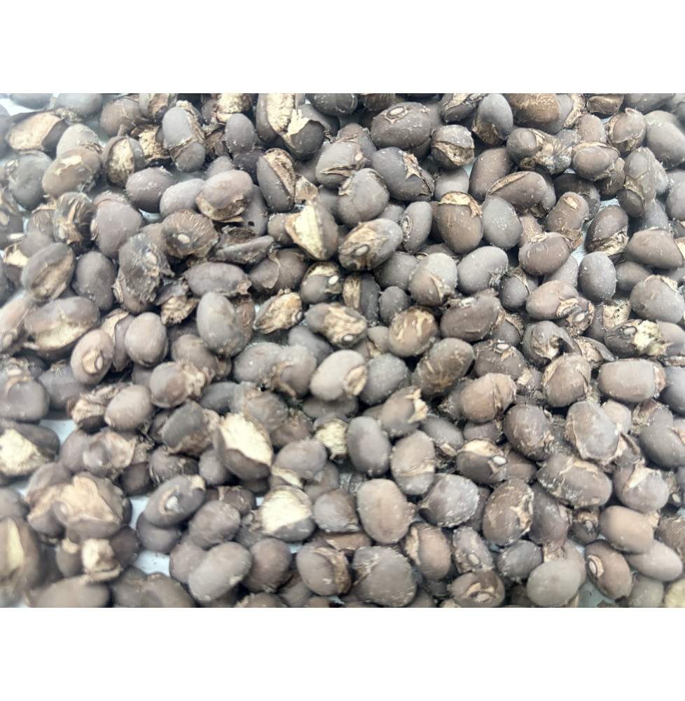 Bulk Freeze-Dried Black Beans | 3.1kg Wet Weight | upto 25 Years