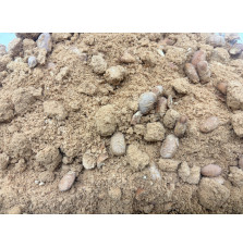 Bulk Freeze-Dried Refried Beans | 3.2kg Wet Weight | upto 25 Years