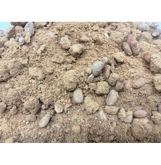 Bulk Freeze-Dried Refried Beans | 3.2kg Wet Weight | upto 25 Years