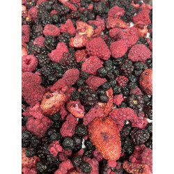 Freeze Dried Very Berry Burst Organic