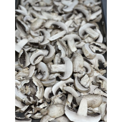 Freeze Dried Mushrooms